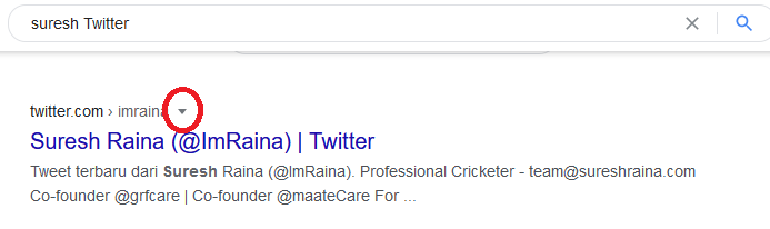 Use Google Cache To Recover Deleted Tweets